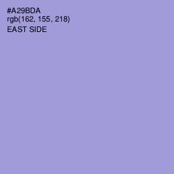#A29BDA - East Side Color Image